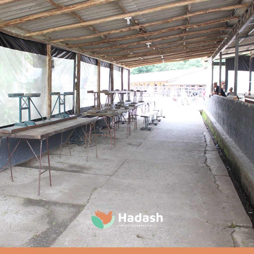 Imagem do WhatsApp de 2025-02-25 à(s) 14.18.57_6a581959 Imagem do WhatsApp de 2025-02-25 à(s) 14.18.57_6a581959