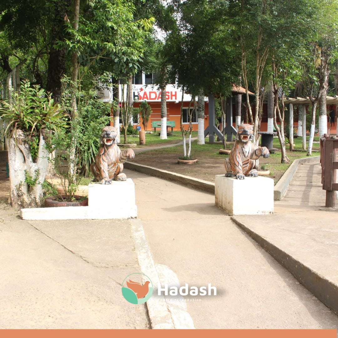 Imagem do WhatsApp de 2025-02-25 à(s) 14.18.58_cb38fa64 Imagem do WhatsApp de 2025-02-25 à(s) 14.18.58_cb38fa64